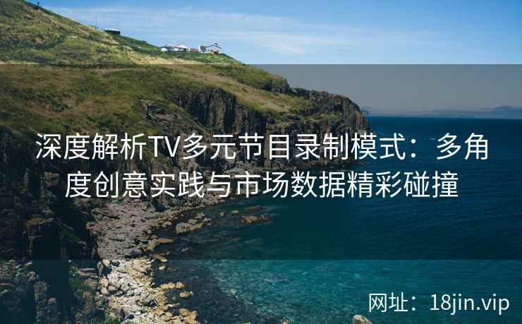 深度解析TV多元节目录制模式：多角度创意实践与市场数据精彩碰撞