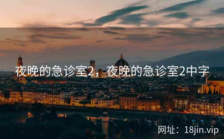 夜晚的急诊室2，夜晚的急诊室2中字