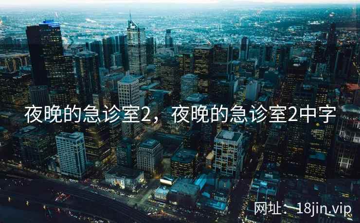 夜晚的急诊室2，夜晚的急诊室2中字