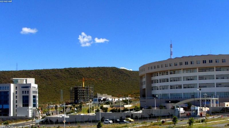 91网九域一网企业互联平台数据可视化界面