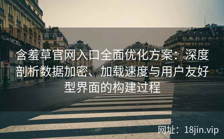 含羞草官网入口全面优化方案：深度剖析数据加密、加载速度与用户友好型界面的构建过程