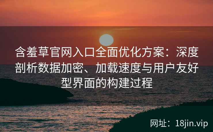 含羞草官网入口全面优化方案：深度剖析数据加密、加载速度与用户友好型界面的构建过程