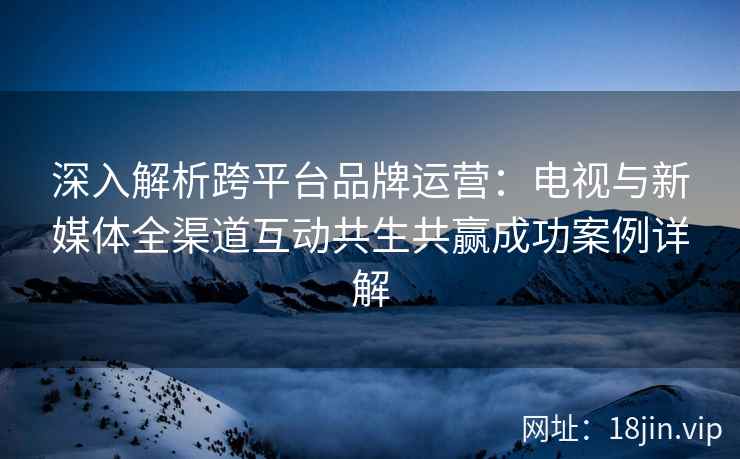 深入解析跨平台品牌运营：电视与新媒体全渠道互动共生共赢成功案例详解
