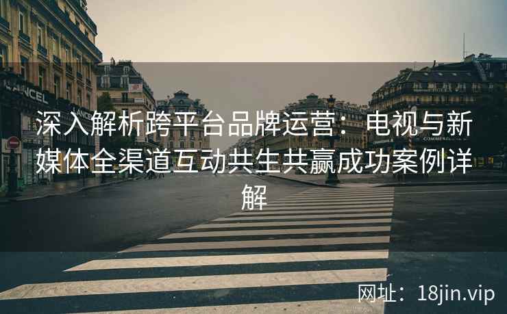 深入解析跨平台品牌运营：电视与新媒体全渠道互动共生共赢成功案例详解