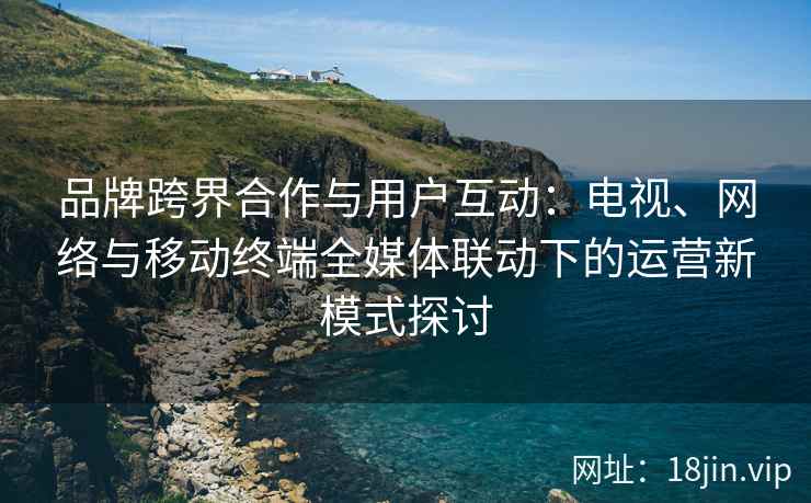 品牌跨界合作与用户互动：电视、网络与移动终端全媒体联动下的运营新模式探讨