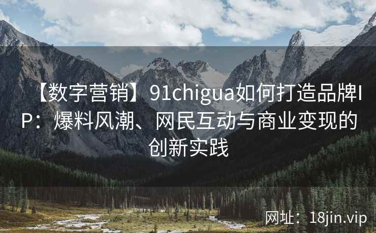 【数字营销】91chigua如何打造品牌IP：爆料风潮、网民互动与商业变现的创新实践