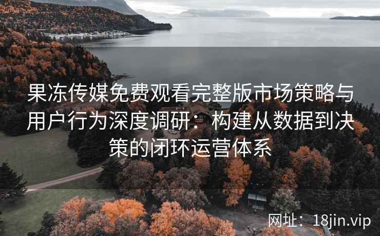 果冻传媒免费观看完整版市场策略与用户行为深度调研：构建从数据到决策的闭环运营体系