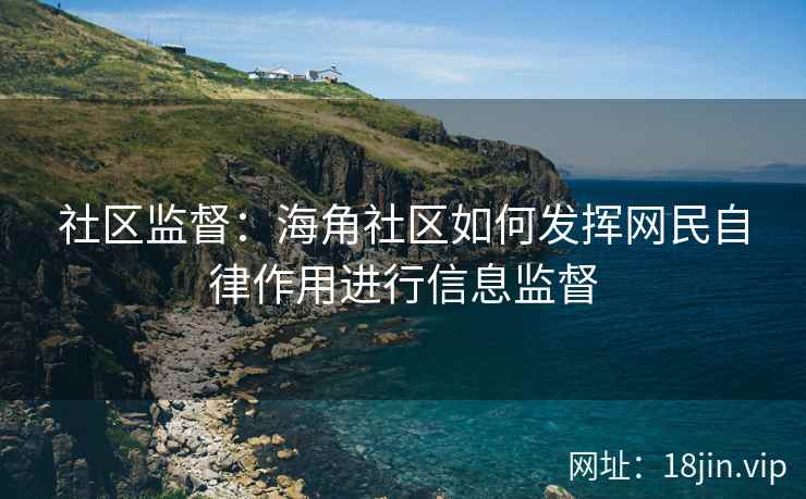 社区监督：海角社区如何发挥网民自律作用进行信息监督