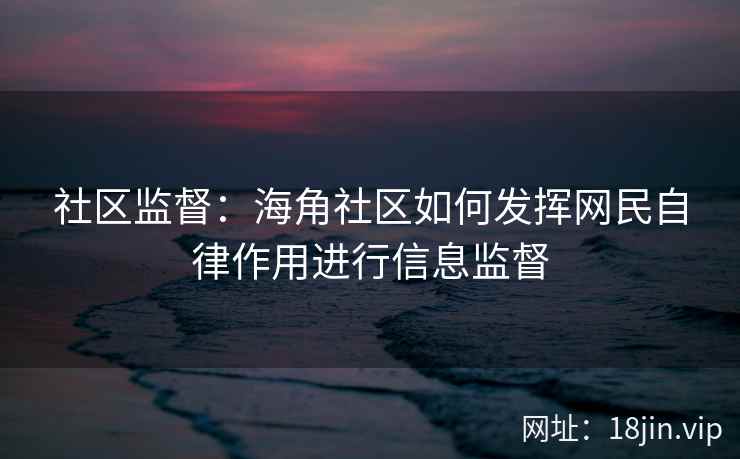 社区监督：海角社区如何发挥网民自律作用进行信息监督