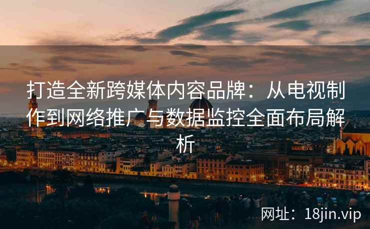 打造全新跨媒体内容品牌：从电视制作到网络推广与数据监控全面布局解析