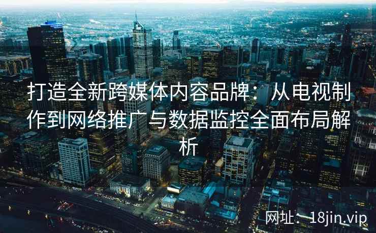 打造全新跨媒体内容品牌：从电视制作到网络推广与数据监控全面布局解析
